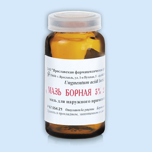 В/м Горная вершина 0.5л негаз.(п/э) (Р) (ПТ)