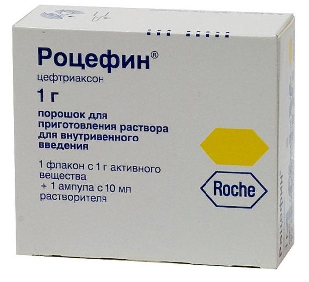 Роцефин 1г+растворитель