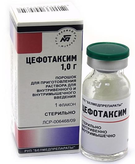 Цефотаксим порошок д/пригот. инъекц. р-ра 1 г: фл. 1 шт.