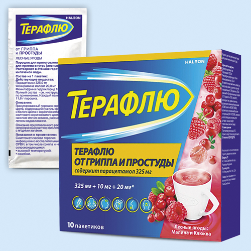 ТераФлю пор. со вкусом лесных ягод N10 (Р)