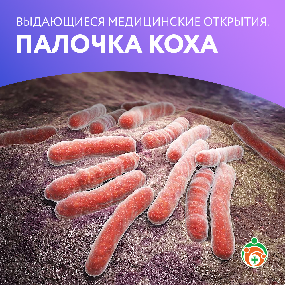 Палочка Коха. Выдающиеся медицинские открытия