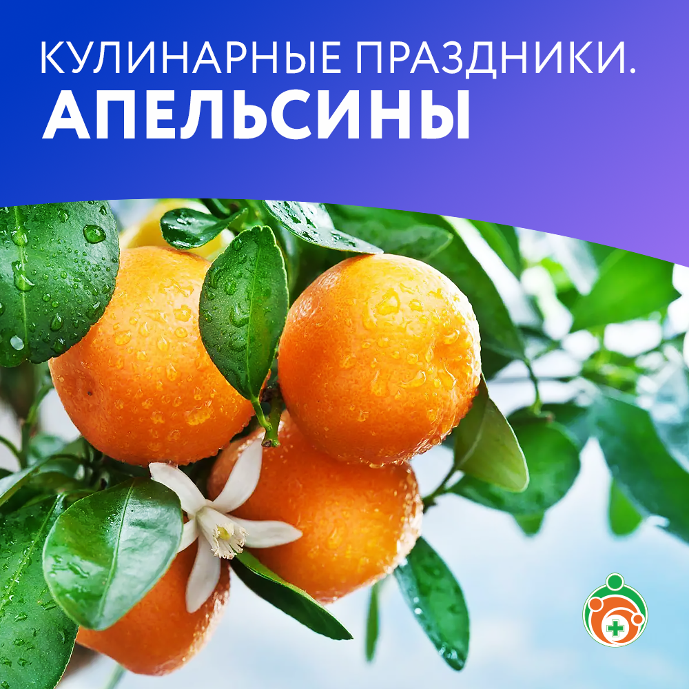 Апельсины. Кулинарные праздники
