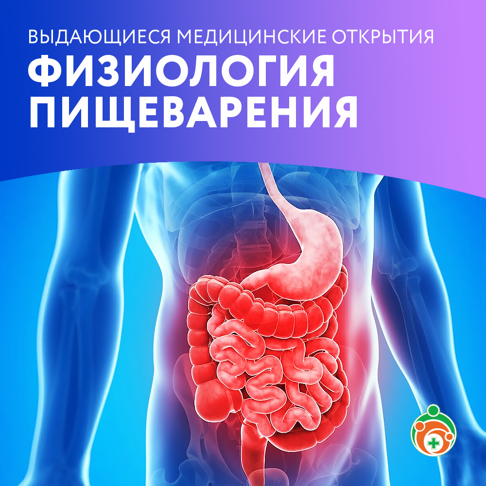 Физиология пищеварения. Выдающиеся медицинские открытия