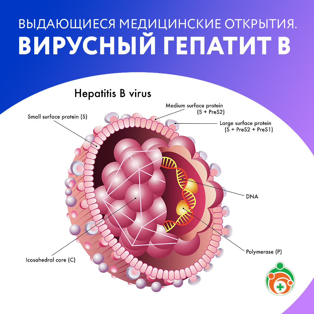 Вирусный гепатит В. Выдающиеся медицинские открытия