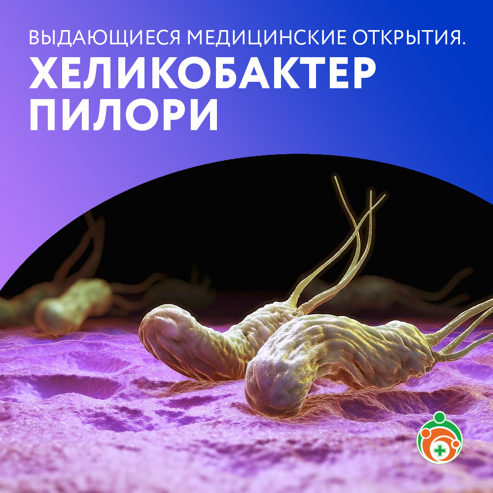 Хеликобактер пилори. Выдающиеся медицинские открытия