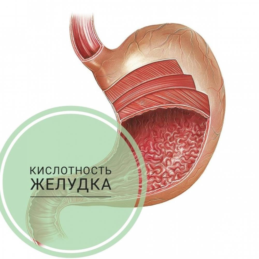 Внутрижелудочная рН-метрия. Выдающиеся медицинские открытия